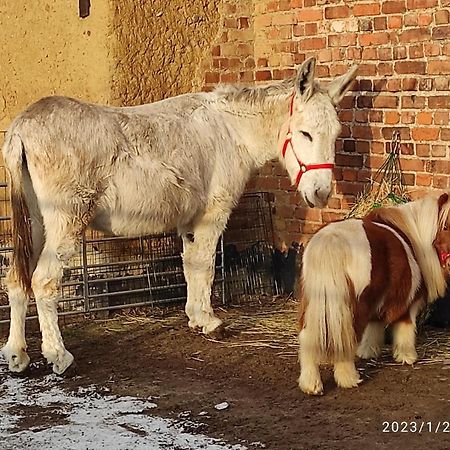 Pferdepension Jaeger Markranstädt Екстериор снимка