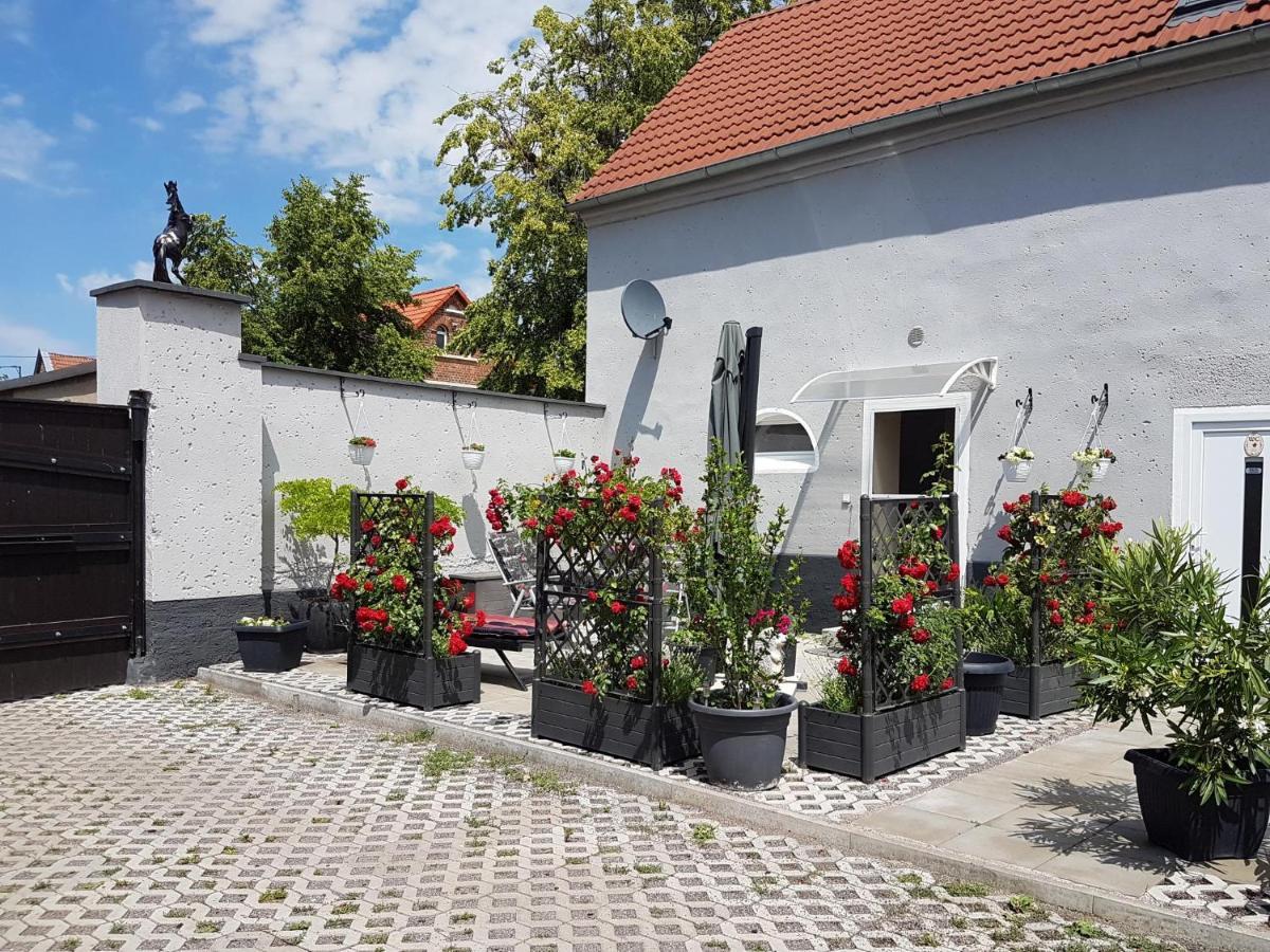 Pferdepension Jaeger Markranstädt Екстериор снимка